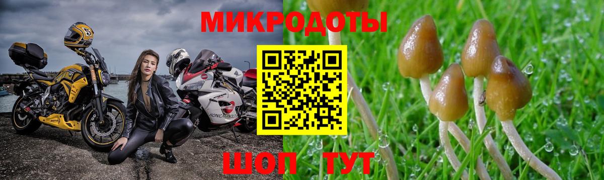 Псилоцибиновые грибы прущие грибы Ипатово